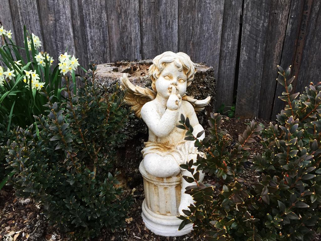 Ellie'S Place On City Park Launceston Luaran gambar